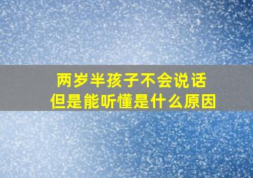 两岁半孩子不会说话 但是能听懂是什么原因